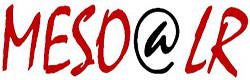 Logo_MESOLR